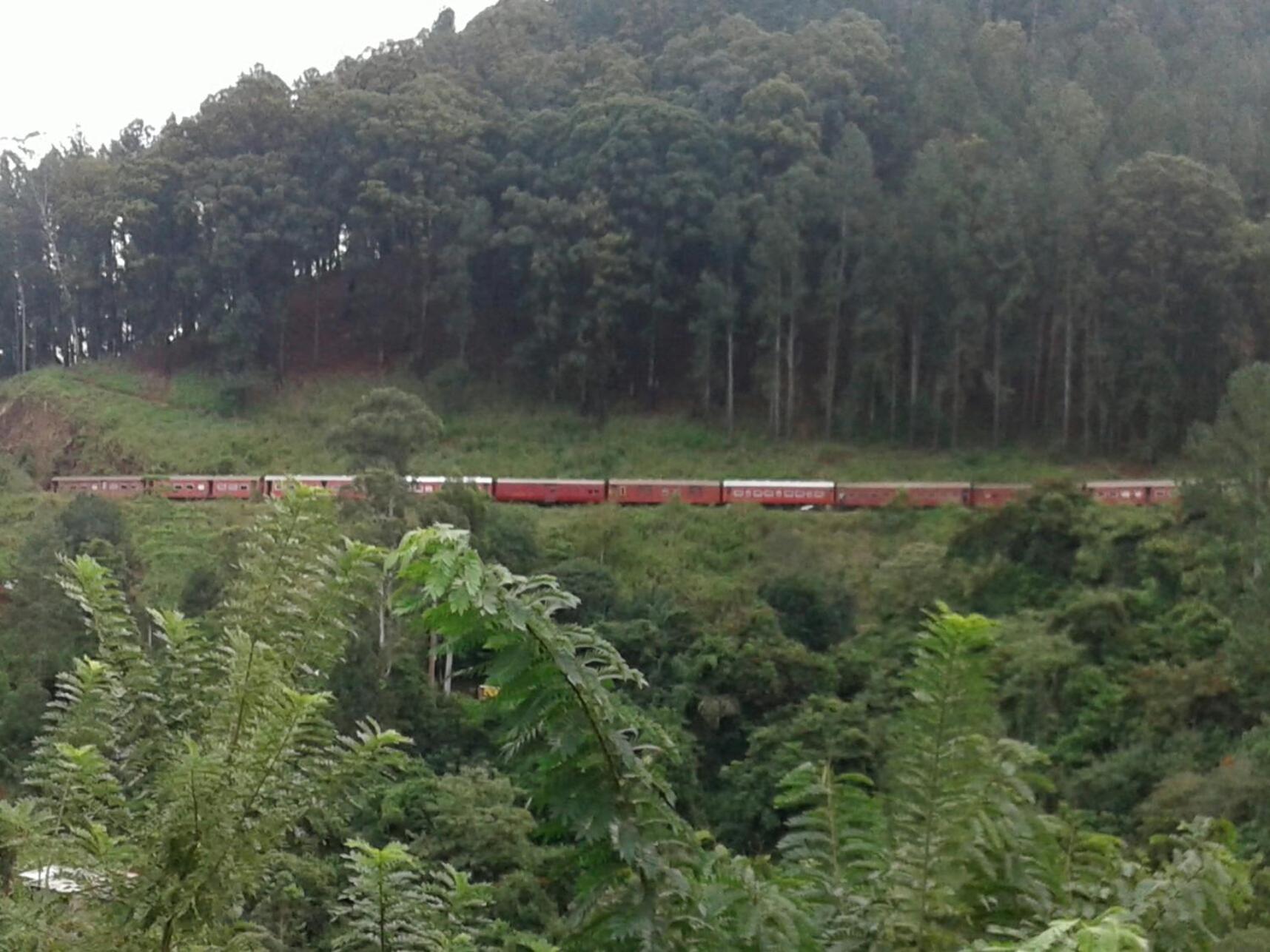 Yoho Nilmini Homestay Ella Luaran gambar