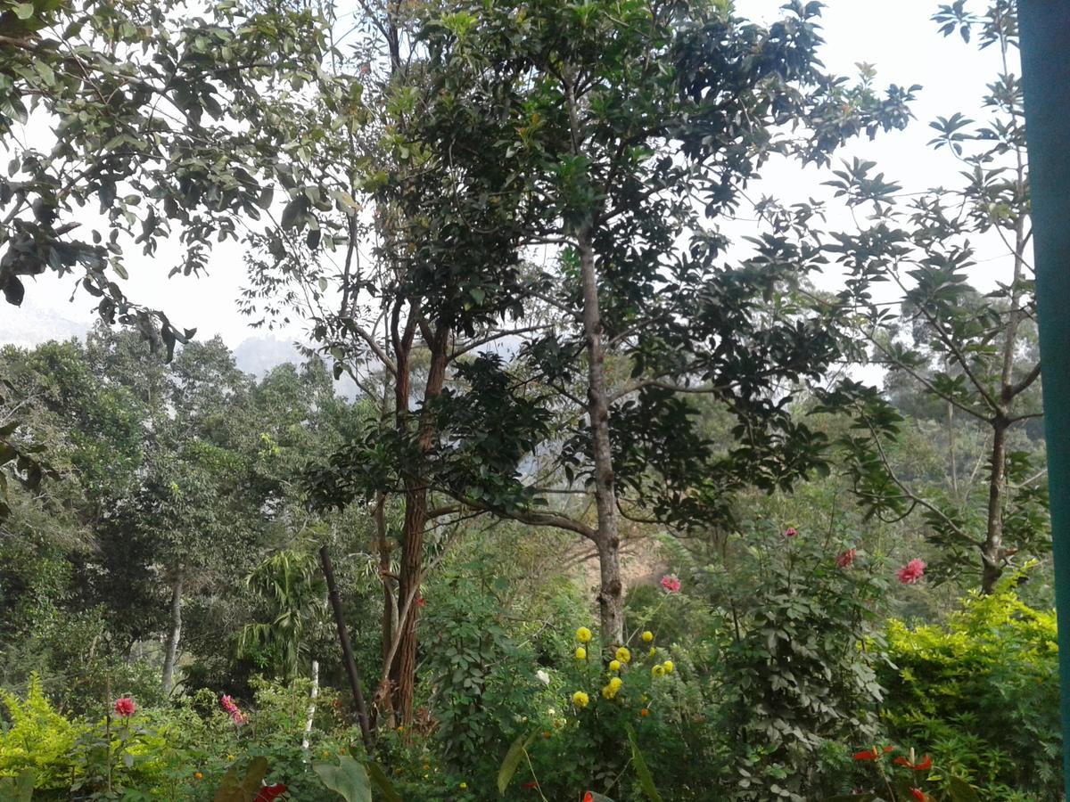 Yoho Nilmini Homestay Ella Luaran gambar