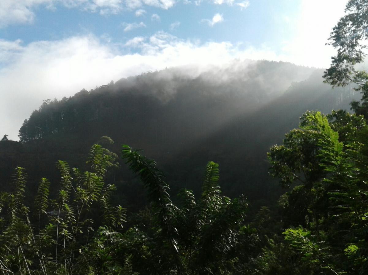 Yoho Nilmini Homestay Ella Luaran gambar