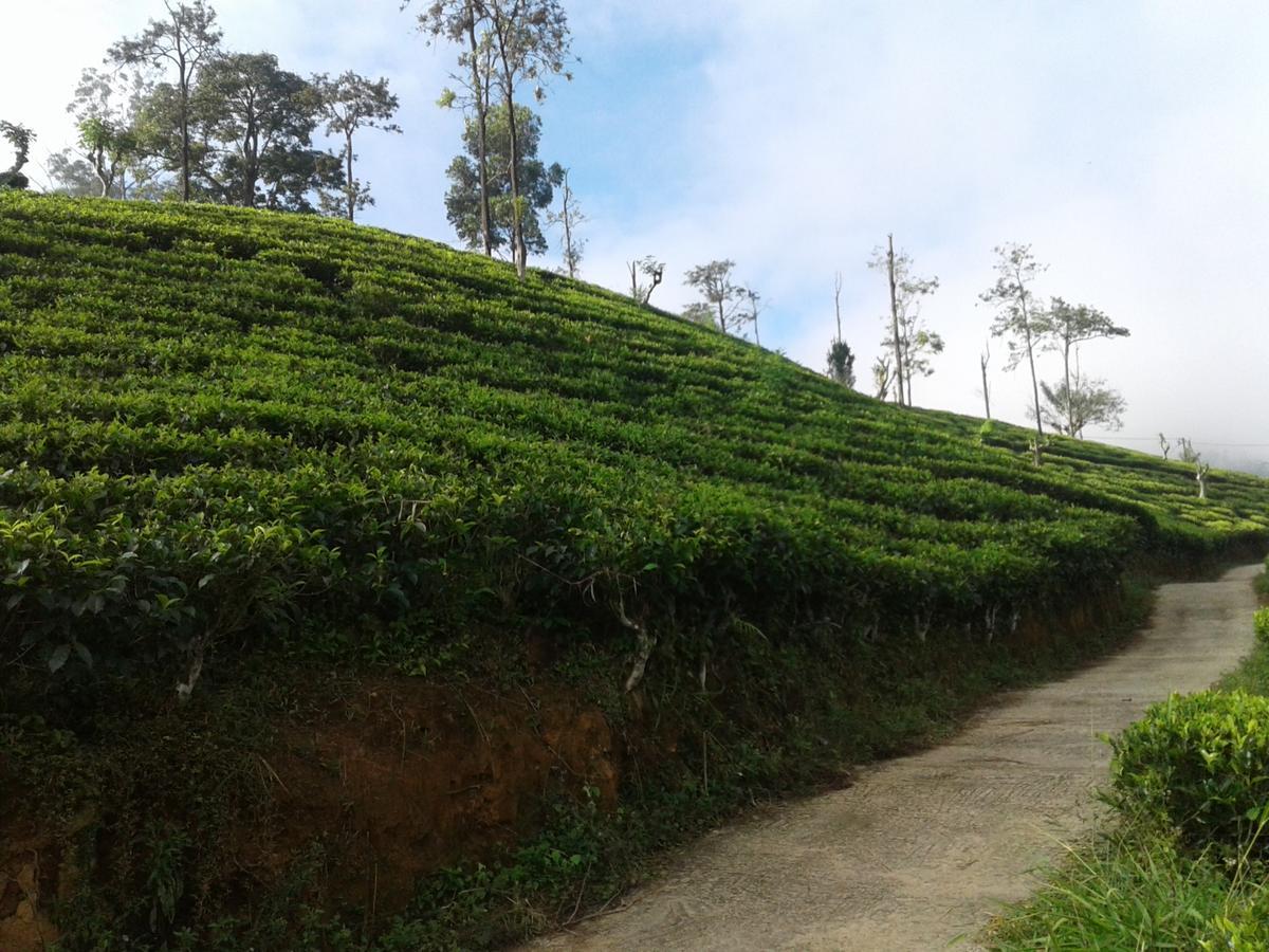 Yoho Nilmini Homestay Ella Luaran gambar