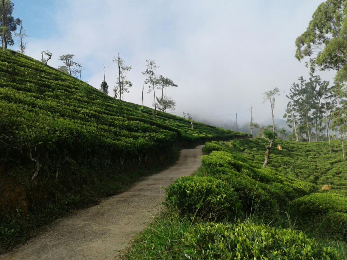 Yoho Nilmini Homestay Ella Luaran gambar