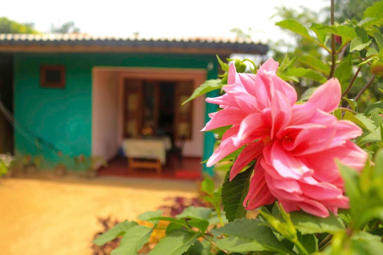 Yoho Nilmini Homestay Ella Luaran gambar