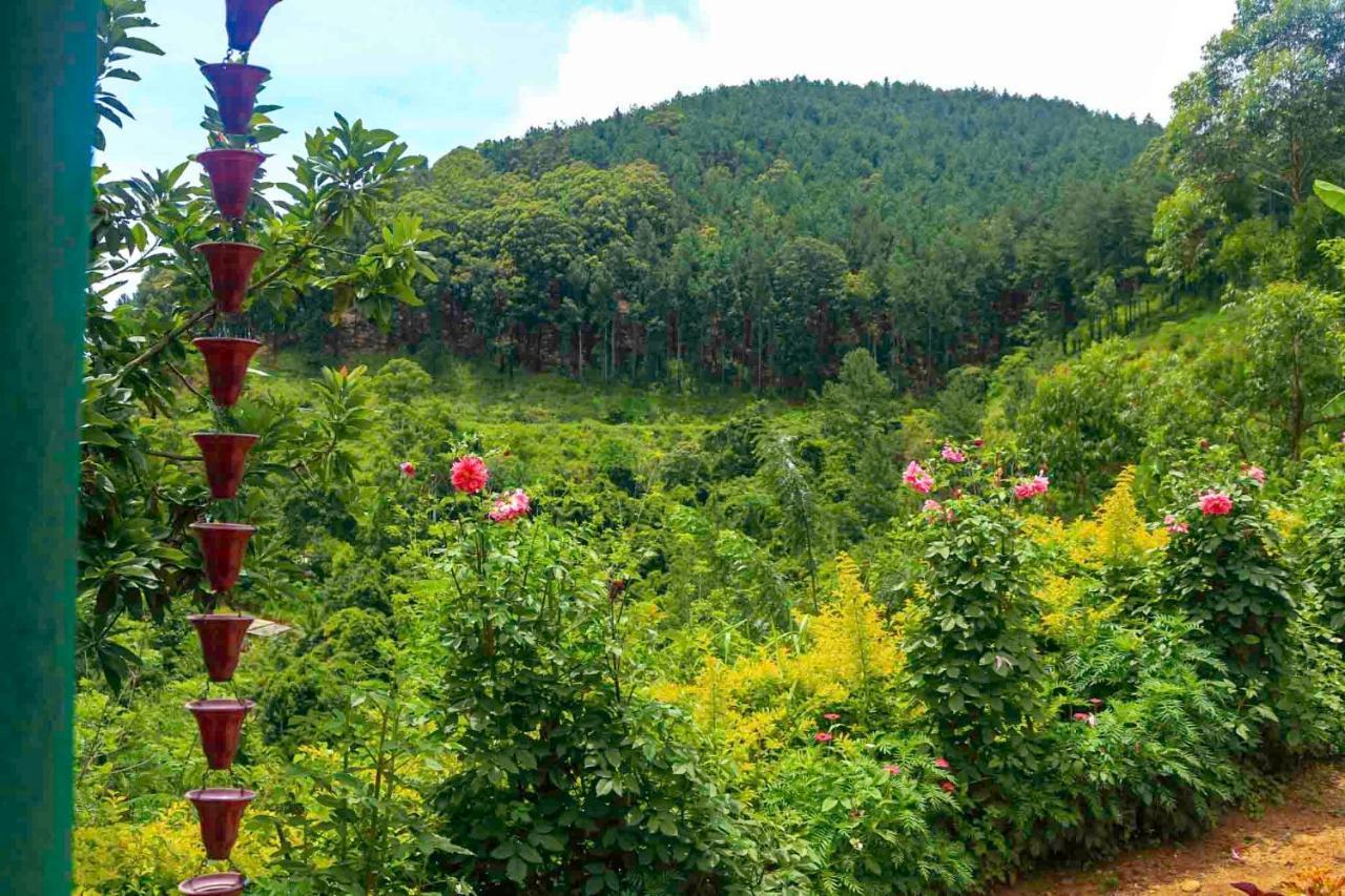 Yoho Nilmini Homestay Ella Luaran gambar